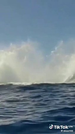 Привет от моря