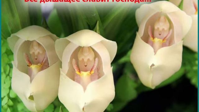 Бог спас палец. Он наша защита. 28.06.2020 Старший пастор Лю