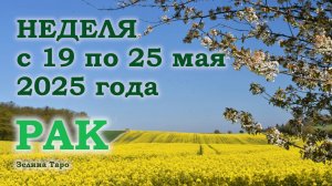 РАК | ТАРО прогноз на неделю с 19 по 25 мая 2025 года