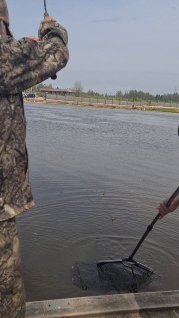 Поимка осетра смотреть онлайн