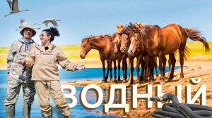 Сбежали на необитаемый остров |ОПАСНО -  дикие мустанги, змеи и клещи - это того стоит!!!