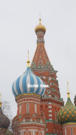 Сохраняй, чтобы выпендриться перед друзьями на прогулках по городу 😅