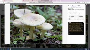 Вот так, хоть Я***** музыка 0+, а не 18+!