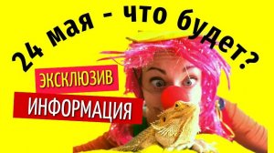 24 мая что будет