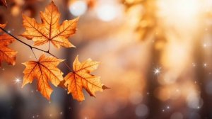 Поздняя осень.