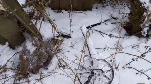 Как копается Земля после -13°