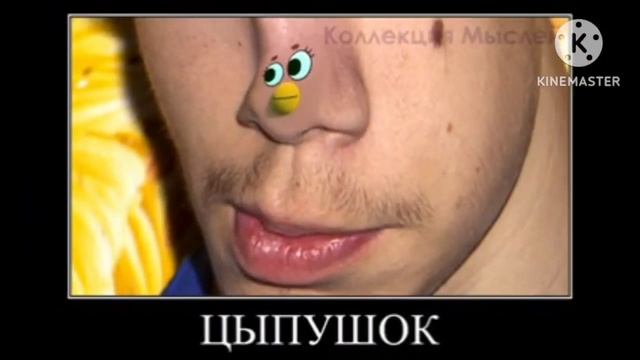 мимимишки шиза быстро смотреть онлайн