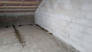 WhatsApp Video 2025-05-18 at 11.03.39(1)