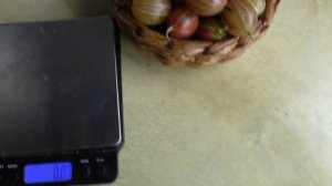 ЛАПРИМА . Шикарная новинка 2023 года. Крыжовник для слад?