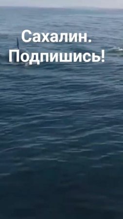 Туры по Сахалину из Южно-Сахалинска. маяк Анива.
