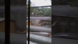 Дети в Саратове на Бушкеном взводе лазиют и прыгают по крышам