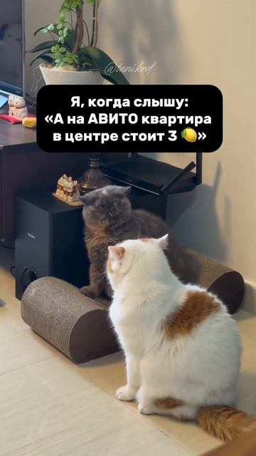 КВАРТИРА в центре с ремонтом за 3? Реально? #новостройки #недвижимость #краснодар