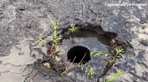 Ночной кошмар или как справиться с дождем в квартире.