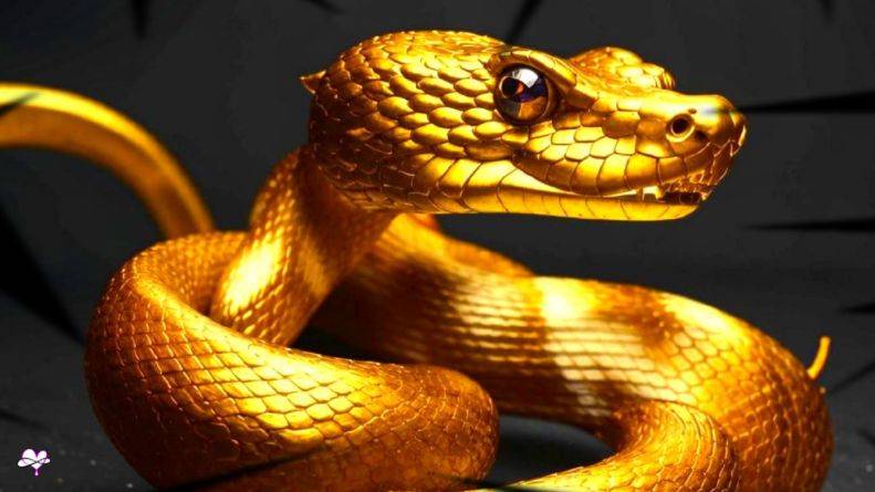 Защита от Негатива и привлечение Удачи. САБЛИМИНАЛ! Аффирмации, subliminal, медитация 2025/ СЕЛЕНА