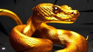 Защита от Негатива и привлечение Удачи. САБЛИМИНАЛ! Аффирмации, subliminal, медитация 2025/ СЕЛЕНА