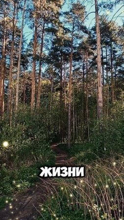 Май 🙏🙂