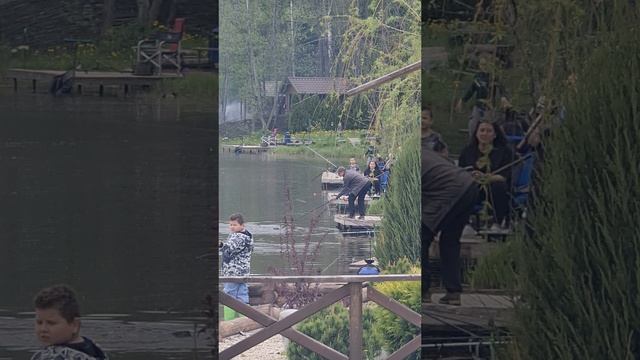 Поимка сома смотреть онлайн