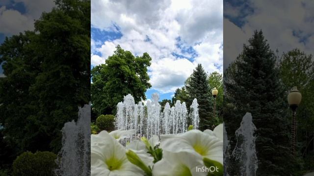 Горячий Ключ в цветах🌷