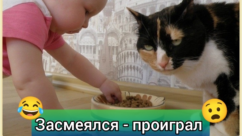 Смешные видео | приколы с животными #7