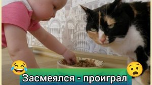 Смешные видео | приколы с животными #7