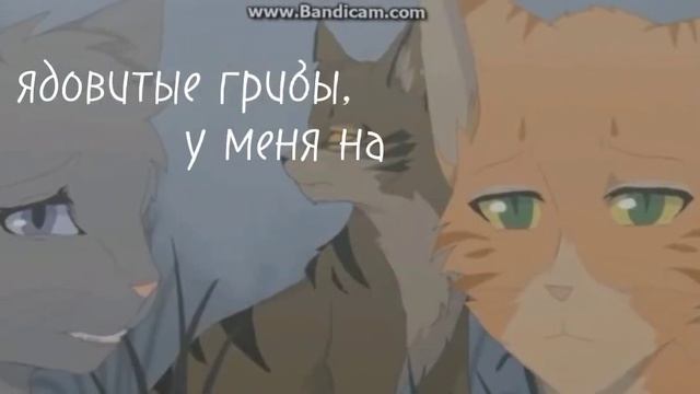 Серебрянка😔...
