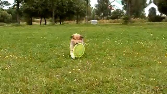 Шел, 2.5 месяца смотреть онлайн