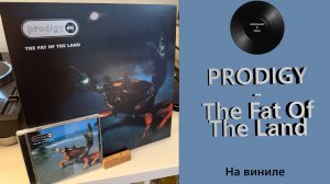 Про альбом и винил Prodigy – The Fat Of The Land (1997/2022 XL) #160