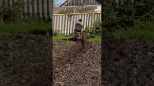 Мини трактор из мотоблока МТЗ  за три дня