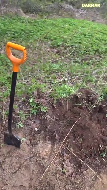 FISHER F75 ВОТ ТАКОЙ ПРИБОР #DARMAK V#shorts - CHANNEL GOAL 1,000,000 SUBSCRIBERS смотреть онлайн