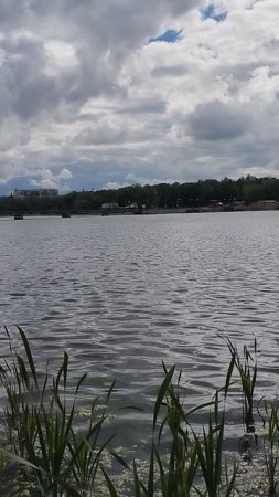 Обратная сторона парка Щербакова