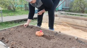 К нам пришло тепло. Начинаем посадки.
Поехали на Устье...