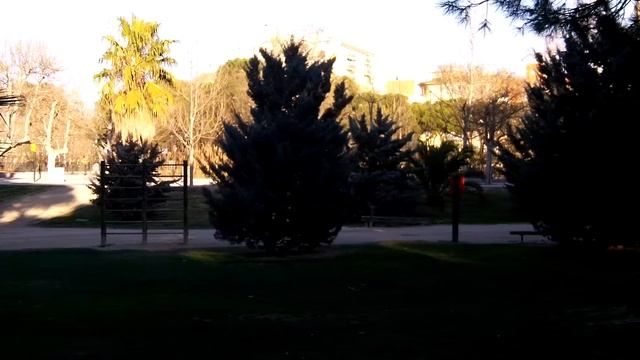 Панорама парка смотреть онлайн