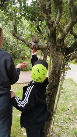 Утренний завтрак в парке