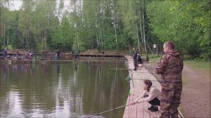 Поимки форели на нижнем водоёме. Клёвое  место, Лосиный остров.