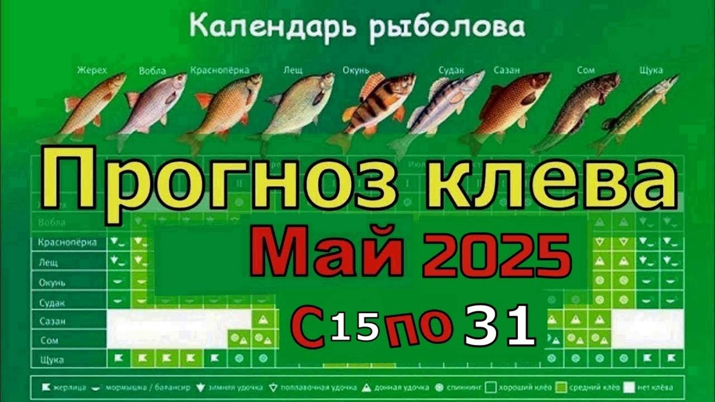 🎣 ПРОГНОЗ КЛЁВА РЫБЫ НА 15–31 МАЯ 2025 (Лунный календарь + погода)
