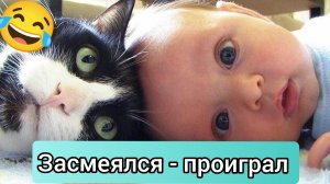 Смешные видео | приколы с животными #6