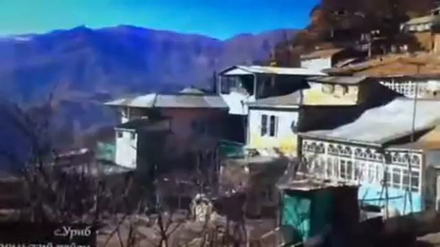 Селени Уриб Хумайд афанди къ.с. смотреть онлайн