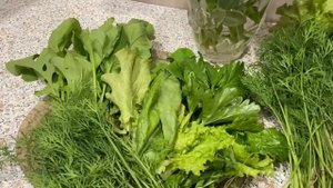 Свежая зелень с огорода 18 мая 2025