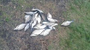 Рыбалка на Урале. Исеть