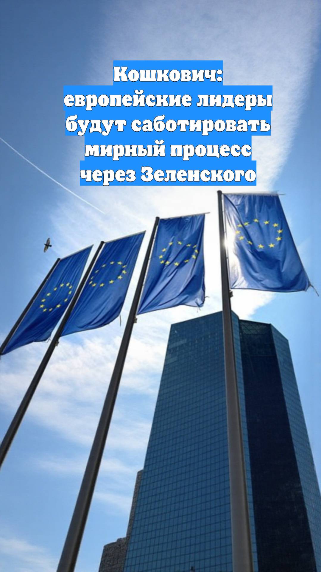Кошкович: европейские лидеры будут саботировать мирный процесс через Зеленского