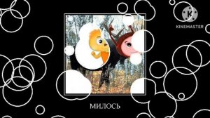 ЛУНТИК + ШИЗА =