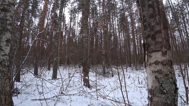 Делянки на которых металла нет. Сломался металлоискат смотреть онлайн