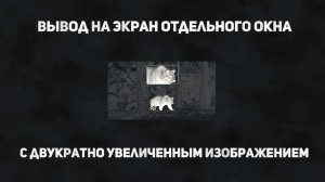 SFH Vigil L10 Бюджетный и эффективный тепловизионный монок?