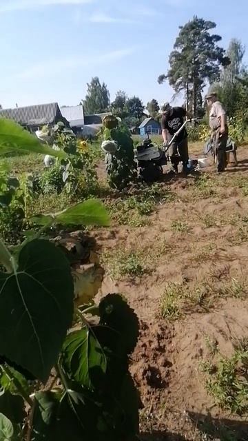 #shorts #top #майкдуглас #мотоблок #прикол смотреть онлайн