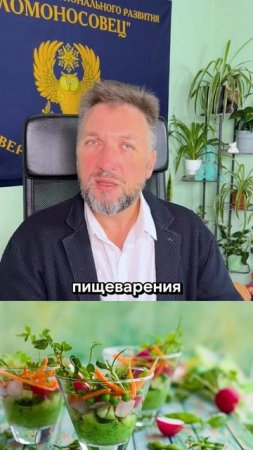 Микрозелень — суперфуд, который растёт у вас на подоконнике! 🌱💚