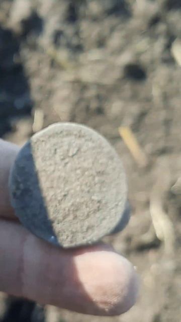 Архивное! #music #клад #копмонет #2024 #монеты #металлоискат? смотреть онлайн