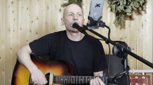 "Брюнетки и блондинки".Звери.Кавер.