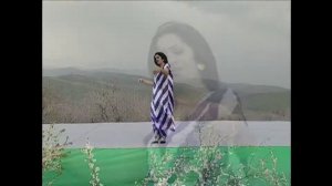 Шабнами Сурайё - Майда майда/ Shabnam Surayo - mayda mayda