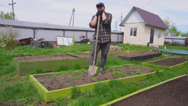 Набрал рассады на рынке по 50 рублей за куст Смотрите Работаю в огороде ПОДВАЛ ИЛЬИЧА жизнь в Сибири