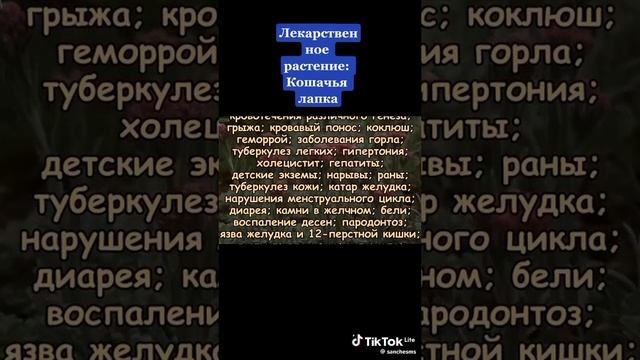 Зелёная здравница 3